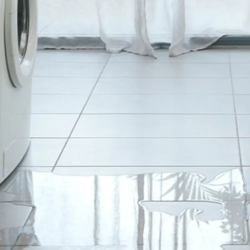 Appliance Leak Cleanup in Jasper County, IL