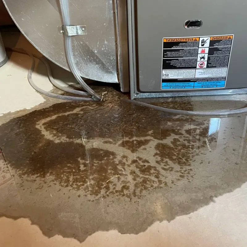 Pipe Burst and Leak Restoration in Jasper County, IL