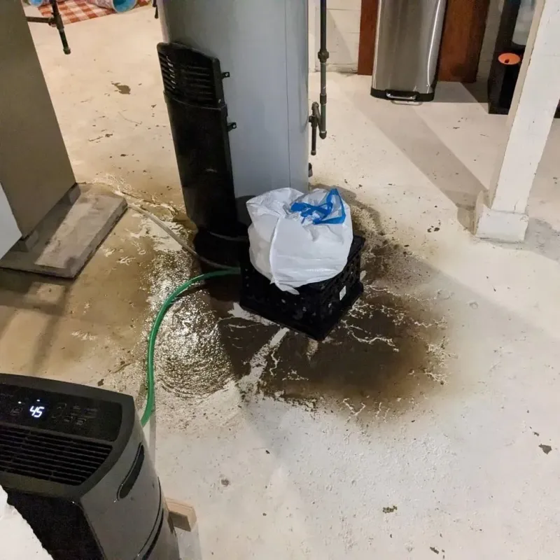 Sewage Backup Cleanup Service in Jasper County, IL